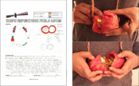 A diptych composed of left: a completed manuscript by one participant, and right: a person holding the artifact, made of red cloth, twine, fabric petals and a LED light. The participant wearing a grey sweater holds the artifact close to their body suggesting that the object is delicate.  