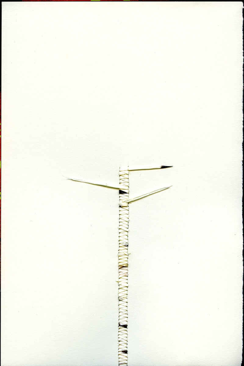 Porcupine quills and thread are woven into an off-white paper, the image resembles a birch tree, in both shape and colour. The black and white quills stick out like branches. 